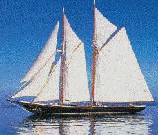 Bluenose