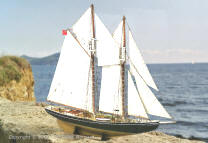 Bluenose